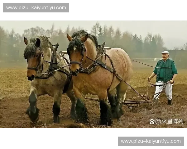 橙色风暴席卷三狮军团：一场关乎灵魂、宿命与欧洲之巅的终极博弈